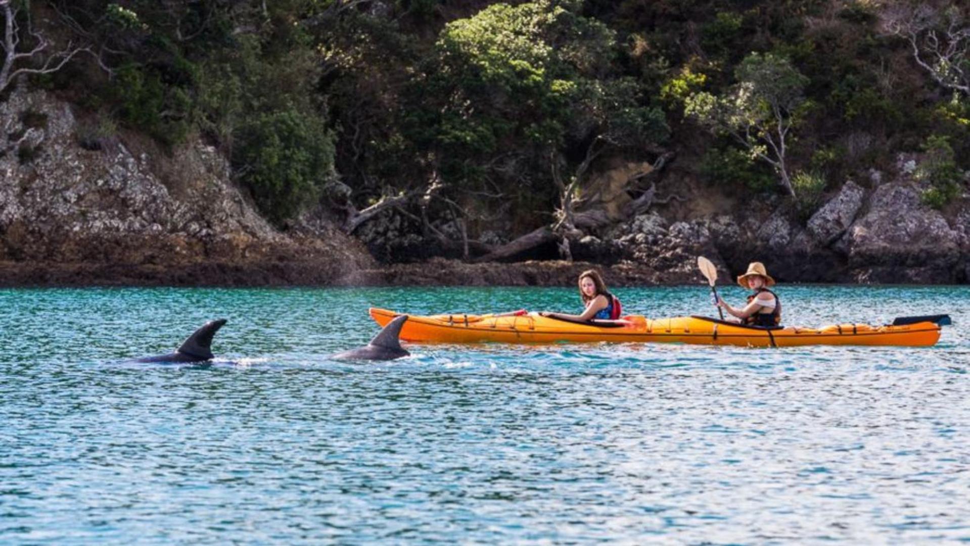 Waiheke Backpackers Hostel Onetangi ภายนอก รูปภาพ